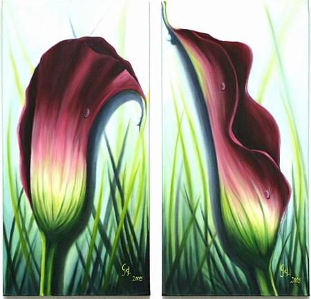 Calla pink